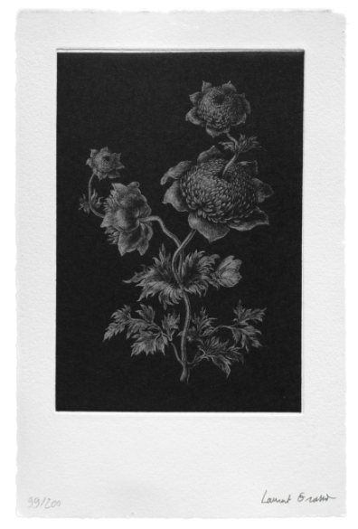 Futur Herborium, Laurent Grasso