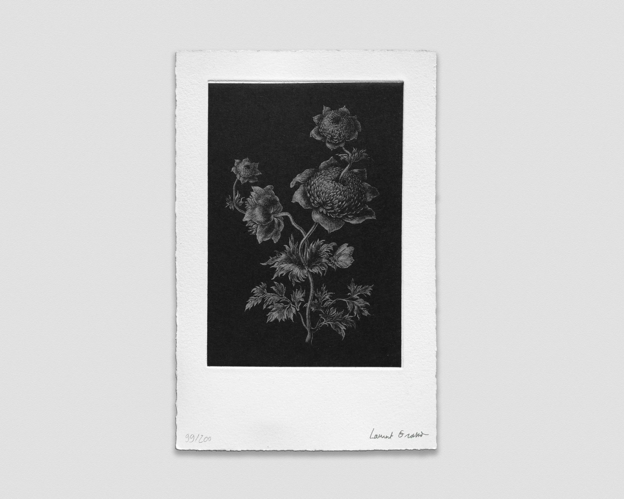 Futur Herborium, Laurent Grasso