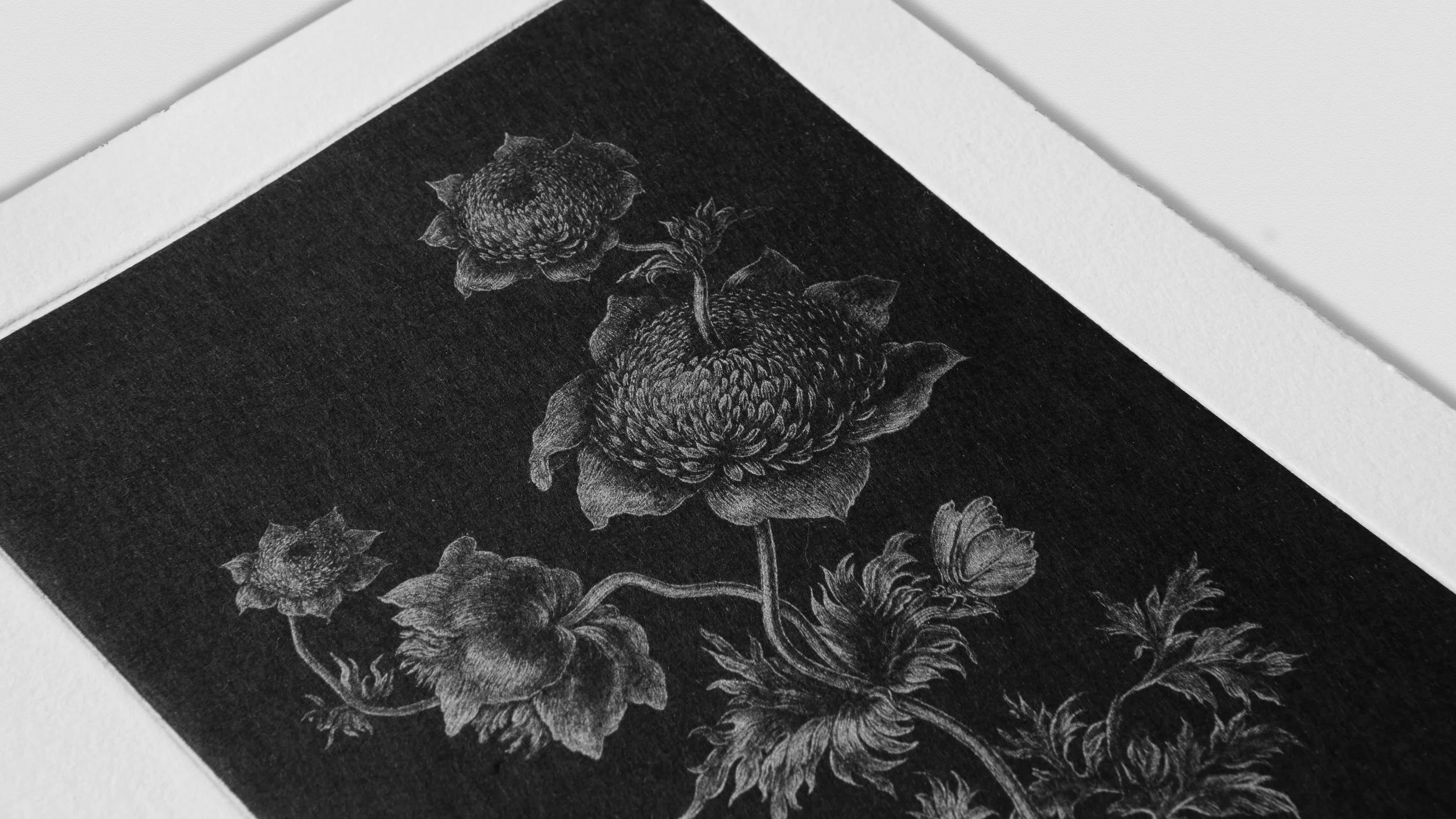 Futur Herborium, Laurent Grasso