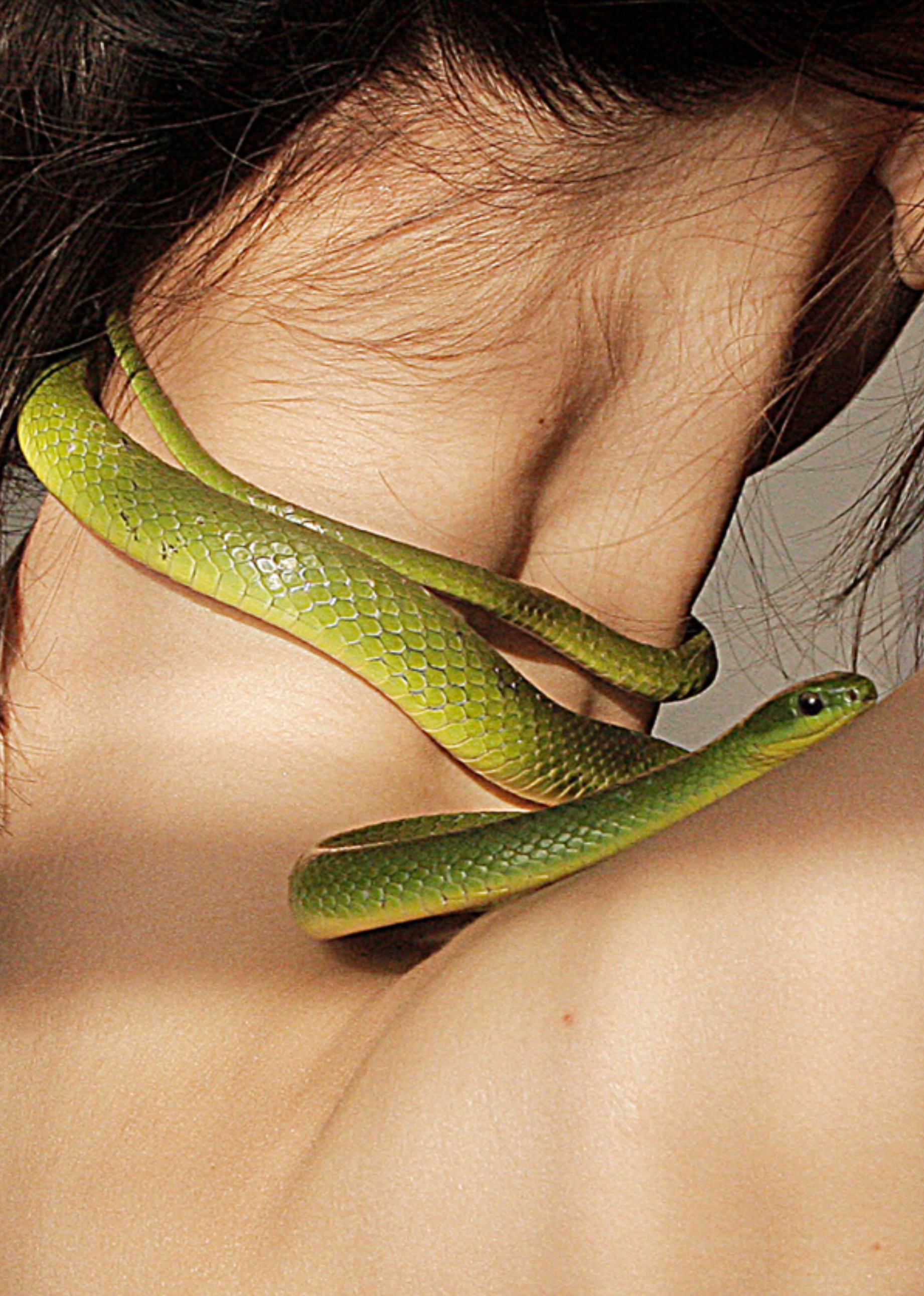 No Man is an Island, Mao Tao