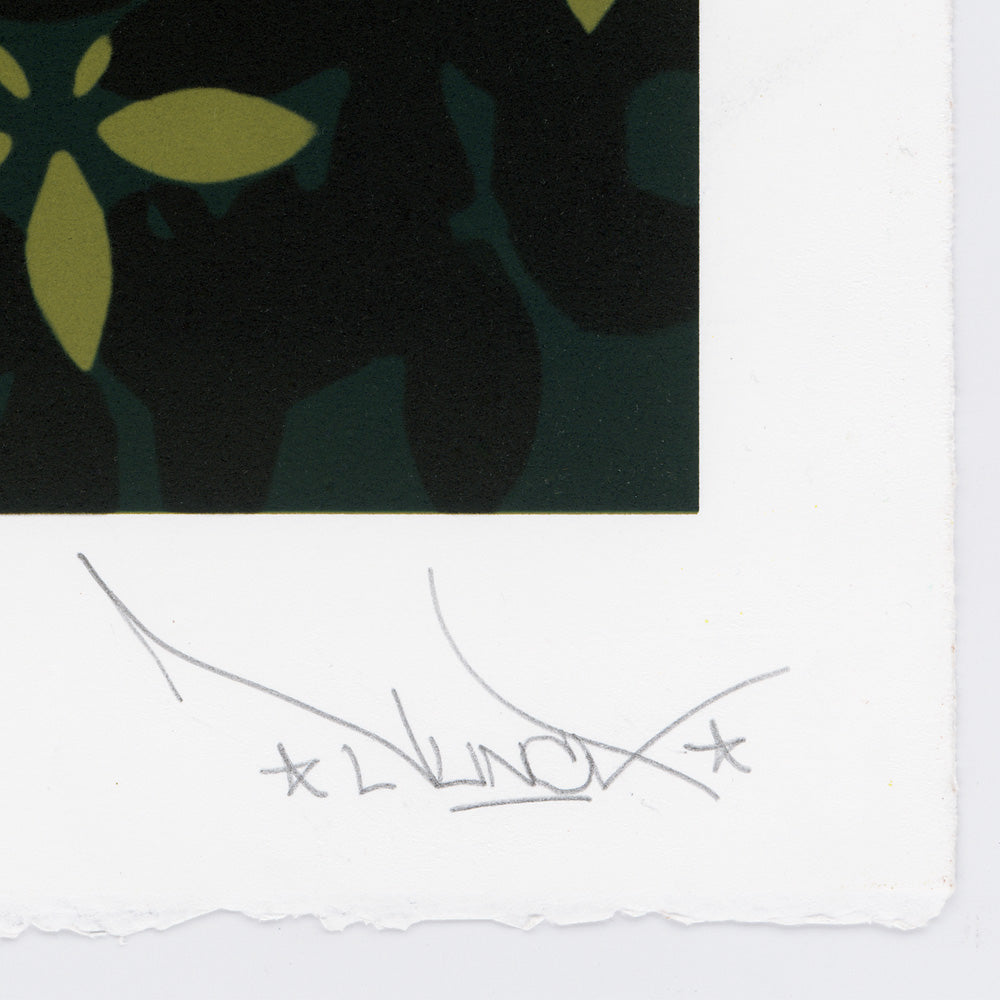 Blond Indigenous, NUNCA