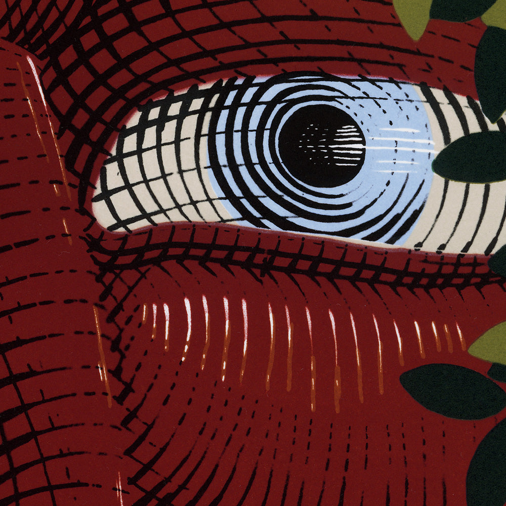 Blond Indigenous, NUNCA